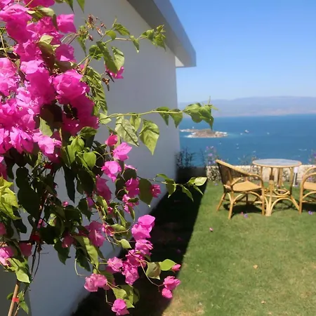 Bodrum Adabuku Luks 2+1 Ozel Plaj Ve Havuzlu Bogazici